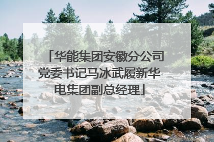 华能集团安徽分公司党委书记马冰武履新华电集团副总经理