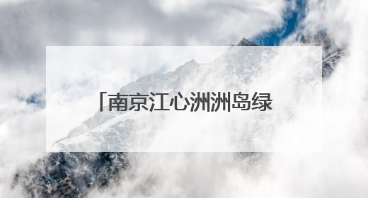 南京江心洲洲岛绿园社区举办第五届“乐享社区节”