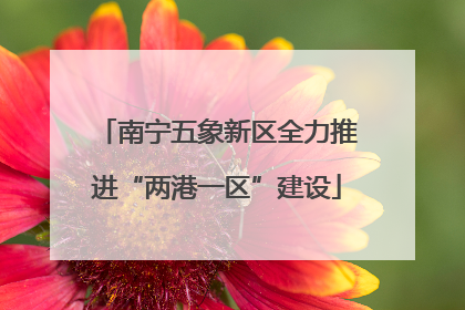南宁五象新区全力推进“两港一区”建设