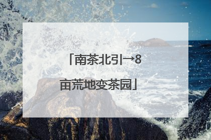 南茶北引→8亩荒地变茶园