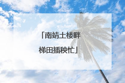 南靖土楼畔 梯田插秧忙