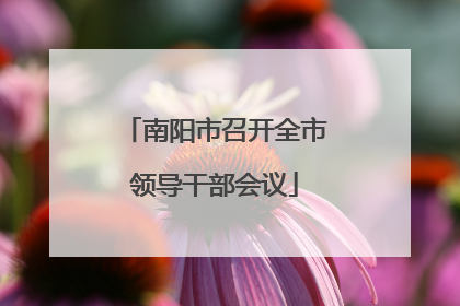 南阳市召开全市领导干部会议