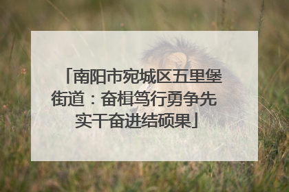 南阳市宛城区五里堡街道：奋楫笃行勇争先 实干奋进结硕果
