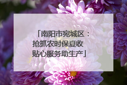 南阳市宛城区：抢抓农时保夏收 贴心服务助生产