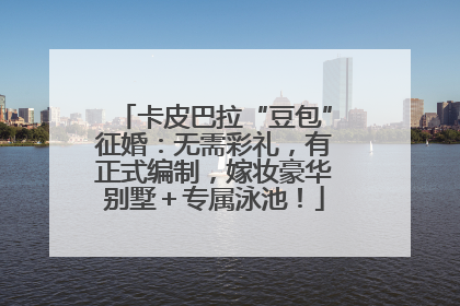 卡皮巴拉“豆包”征婚：无需彩礼，有正式编制，嫁妆豪华别墅＋专属泳池！