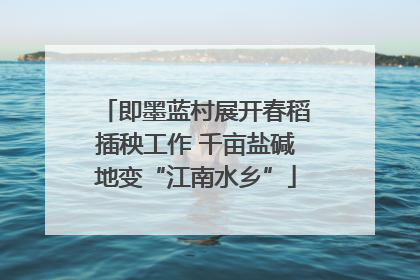 即墨蓝村展开春稻插秧工作 千亩盐碱地变“江南水乡”