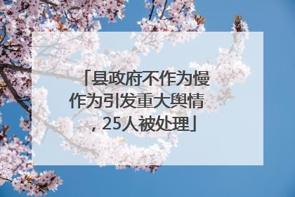 县政府不作为慢作为引发重大舆情，25人被处理