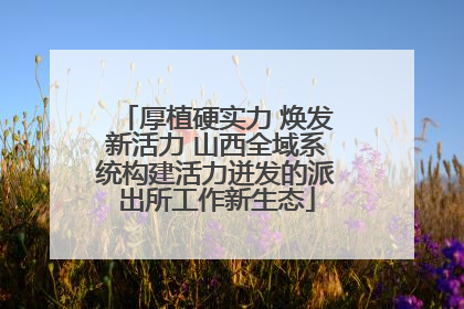 厚植硬实力 焕发新活力 山西全域系统构建活力迸发的派出所工作新生态