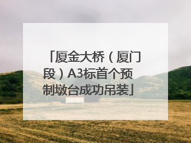 厦金大桥（厦门段）A3标首个预制墩台成功吊装