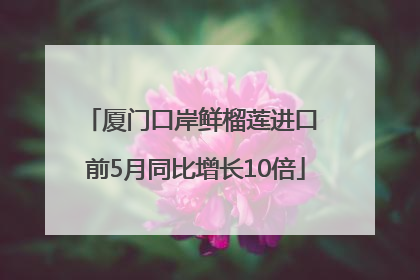 厦门口岸鲜榴莲进口 前5月同比增长10倍