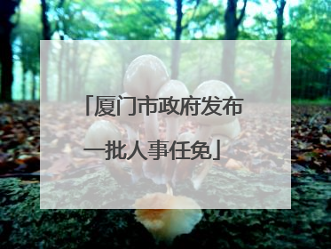 厦门市政府发布一批人事任免