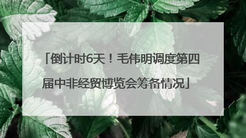 倒计时6天！毛伟明调度第四届中非经贸博览会筹备情况