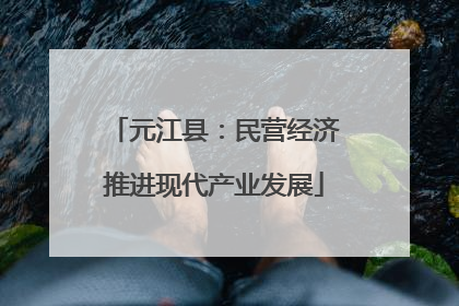 元江县：民营经济推进现代产业发展