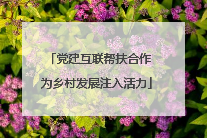 党建互联帮扶合作 为乡村发展注入活力