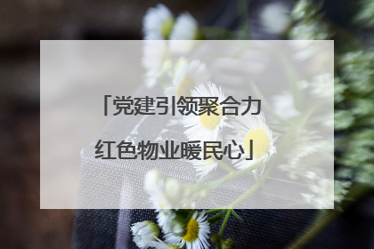 党建引领聚合力 红色物业暖民心