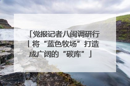 党报记者八闽调研行丨将“蓝色牧场”打造成广阔的“碳库”