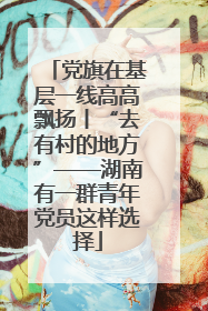 党旗在基层一线高高飘扬丨“去有村的地方”——湖南有一群青年党员这样选择