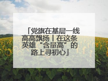 党旗在基层一线高高飘扬丨在这条英雄“含量高”的路上寻初心