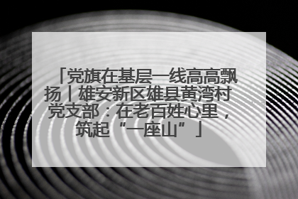 党旗在基层一线高高飘扬丨雄安新区雄县黄湾村党支部：在老百姓心里，筑起“一座山”