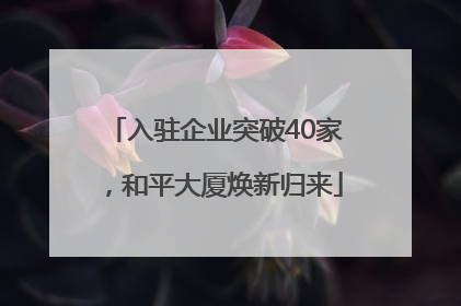 入驻企业突破40家，和平大厦焕新归来