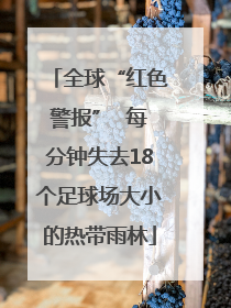 全球“红色警报”  每分钟失去18个足球场大小的热带雨林