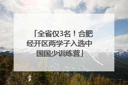 全省仅3名！合肥经开区两学子入选中国国少训练营