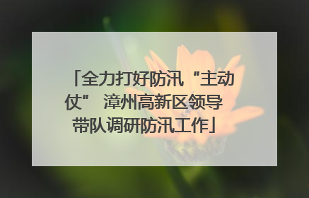 全力打好防汛“主动仗” 漳州高新区领导带队调研防汛工作