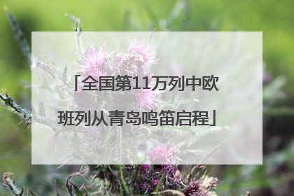 全国第11万列中欧班列从青岛鸣笛启程