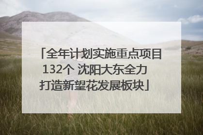 全年计划实施重点项目132个 沈阳大东全力打造新望花发展板块