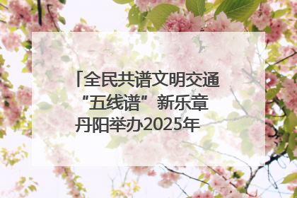 全民共谱文明交通“五线谱”新乐章 丹阳举办2025年“文明交通 同心同行”主题宣传活动