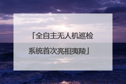 全自主无人机巡检系统首次亮相夷陵