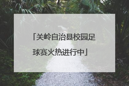 关岭自治县校园足球赛火热进行中