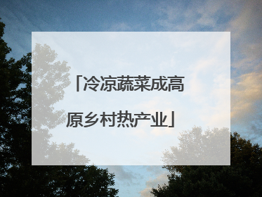 冷凉蔬菜成高原乡村热产业