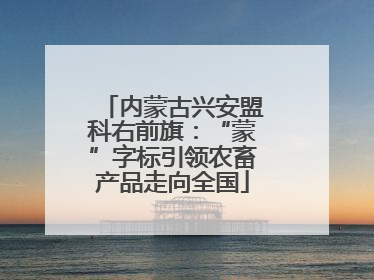 内蒙古兴安盟科右前旗：“蒙”字标引领农畜产品走向全国
