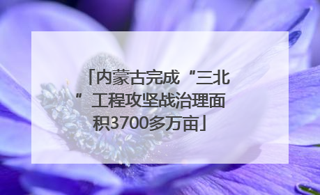 内蒙古完成“三北”工程攻坚战治理面积3700多万亩