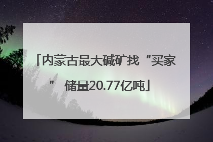 内蒙古最大碱矿找“买家” 储量20.77亿吨