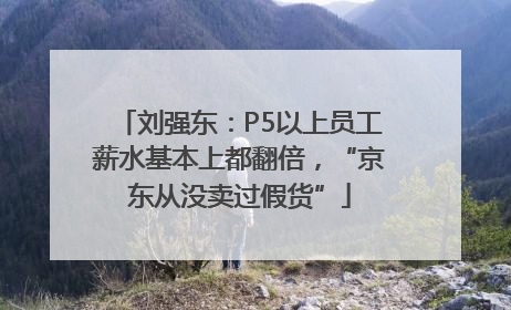 刘强东：P5以上员工薪水基本上都翻倍，“京东从没卖过假货”