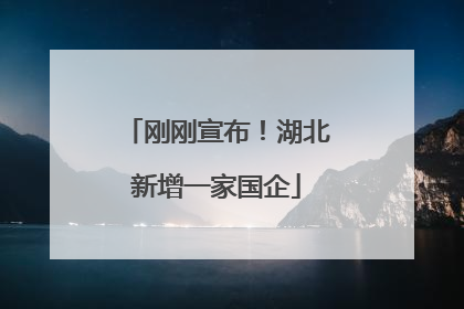 刚刚宣布！湖北新增一家国企