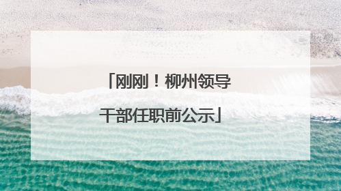 刚刚！柳州领导干部任职前公示