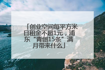 创业空间每平方米日租金不超1元，浦东“青创15条”满月带来什么