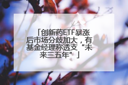 创新药ETF暴涨后市场分歧加大，有基金经理称透支“未来三五年”