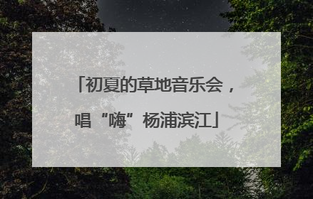 初夏的草地音乐会，唱“嗨”杨浦滨江