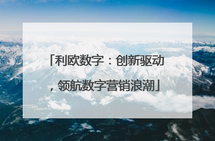 利欧数字：创新驱动，领航数字营销浪潮