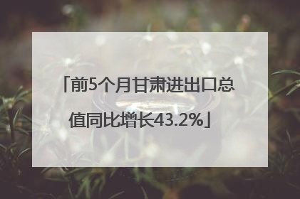 前5个月甘肃进出口总值同比增长43.2%