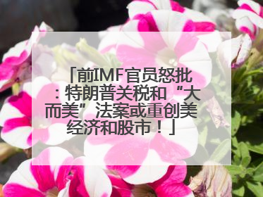 前IMF官员怒批：特朗普关税和“大而美”法案或重创美经济和股市！