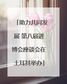 助力共同发展 第八届进博会座谈会在土耳其举办