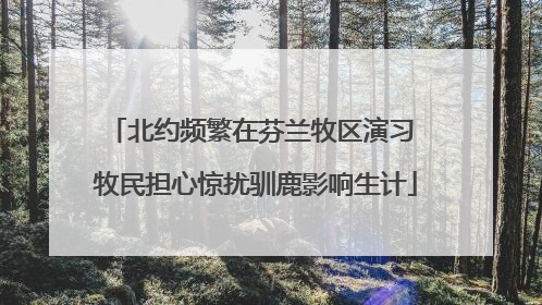 北约频繁在芬兰牧区演习 牧民担心惊扰驯鹿影响生计