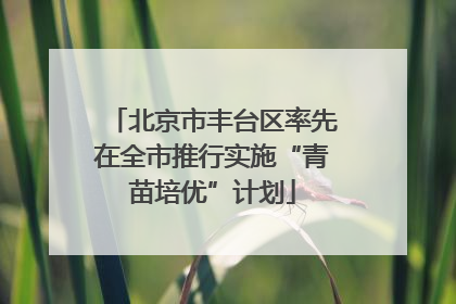 北京市丰台区率先在全市推行实施“青苗培优”计划