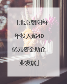 北京朝阳每年投入超40亿元资金助企业发展