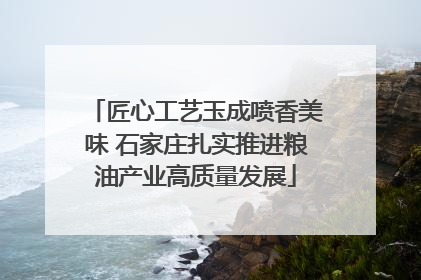 匠心工艺玉成喷香美味 石家庄扎实推进粮油产业高质量发展
